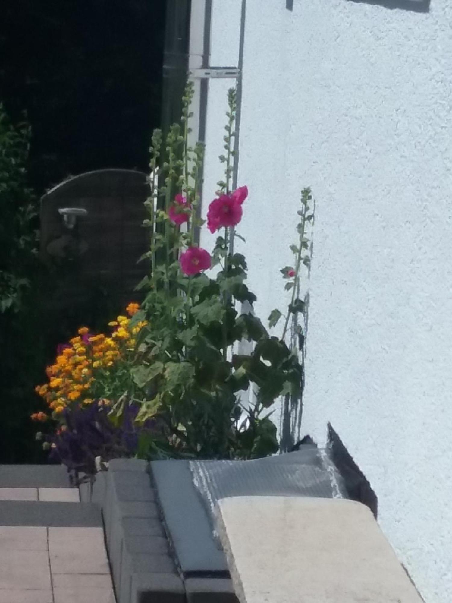 Apartment Perlbachtal *