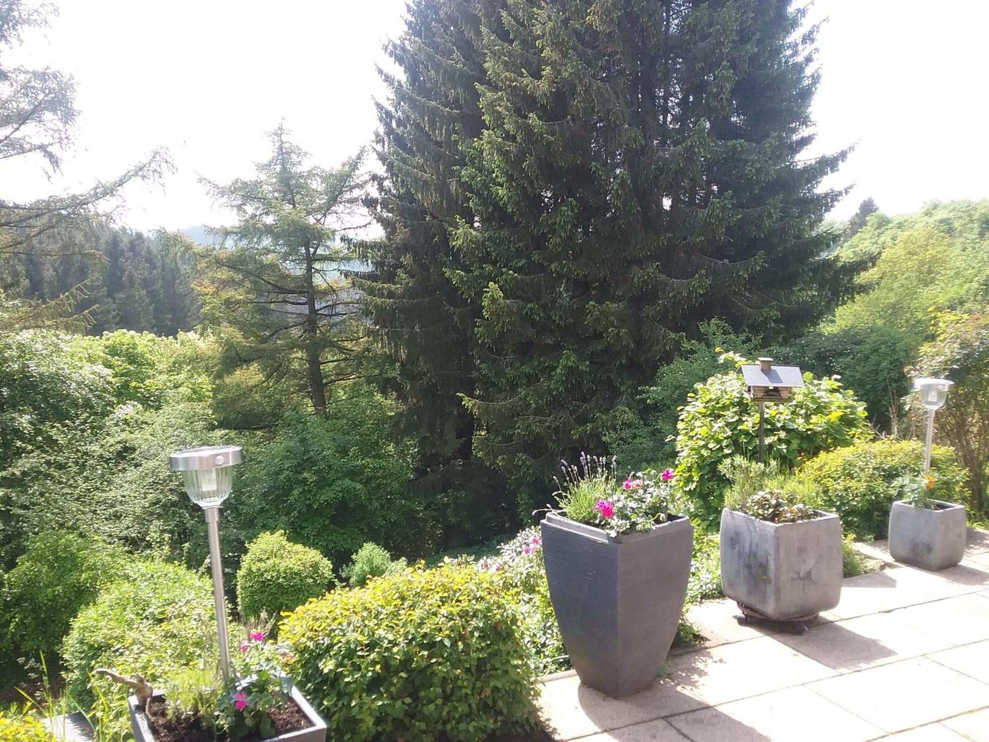 Perlbachtal * Monschau